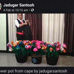3 flower pot from cape
