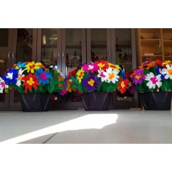 3 flower pot from cape